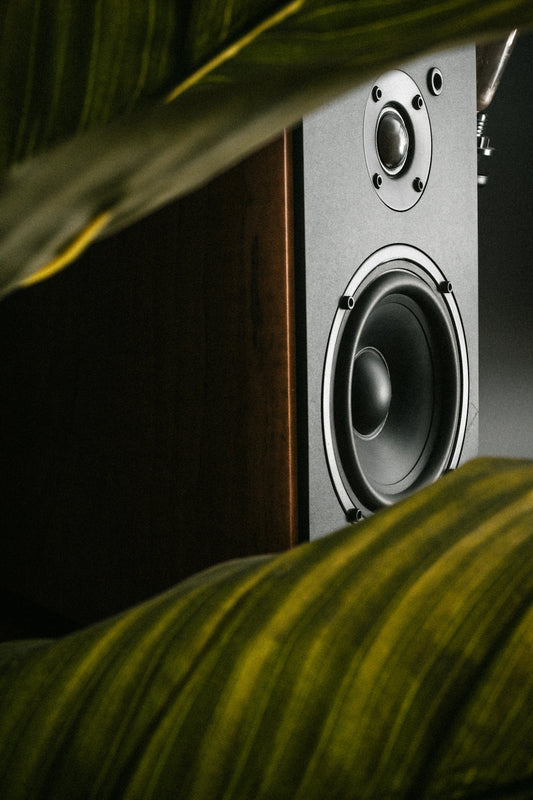 a close up of a speaker near a plant